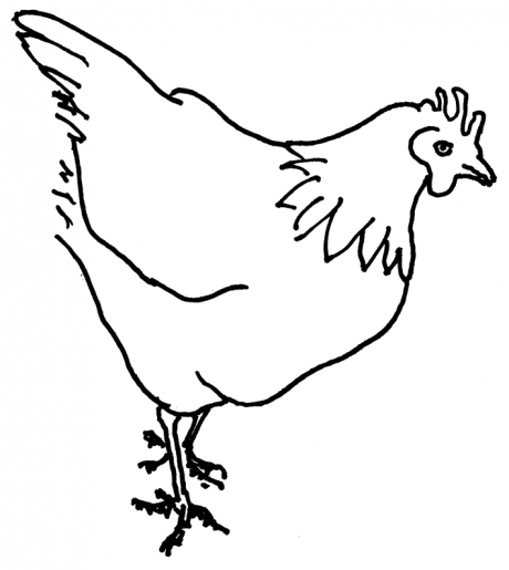 Chicken 2